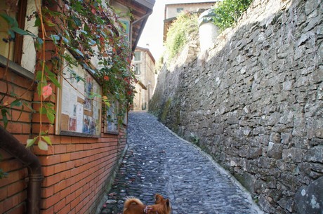 apricale