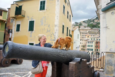 camogli