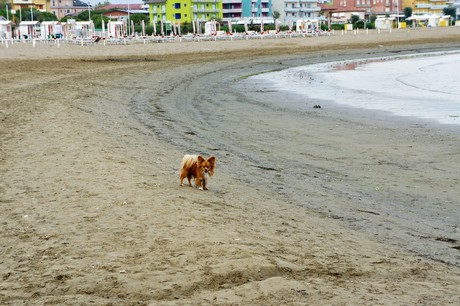 caorle