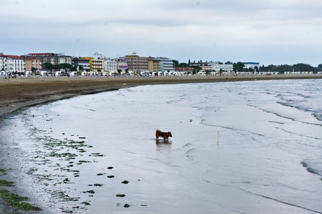 caorle