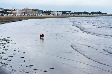 caorle