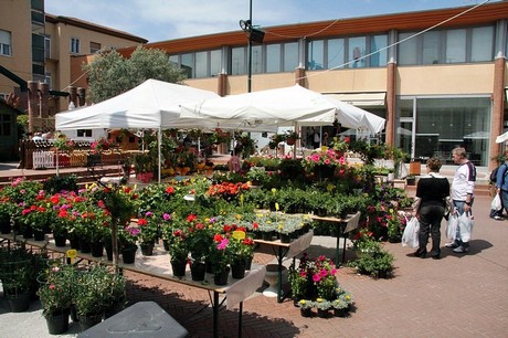 blumenmarkt