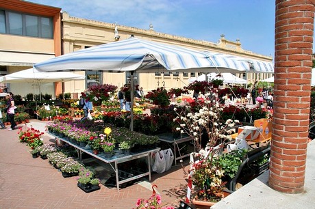 blumenmarkt