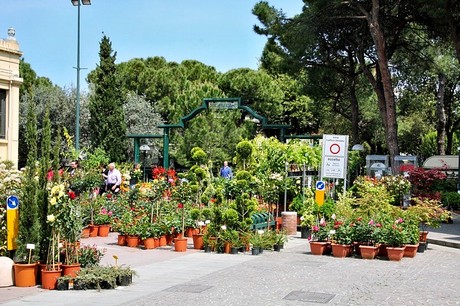 blumenmarkt