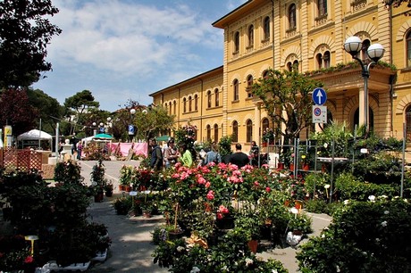 blumenmarkt