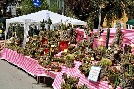 blumenmarkt