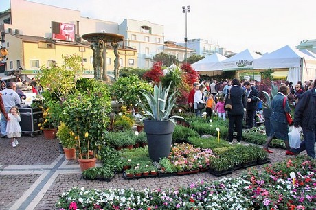 blumenmarkt