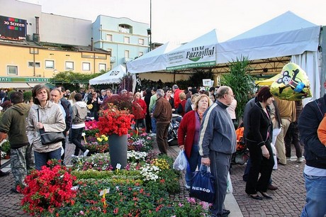 blumenmarkt