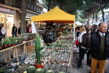 blumenmarkt