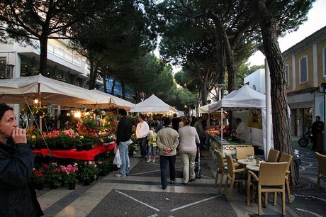 blumenmarkt