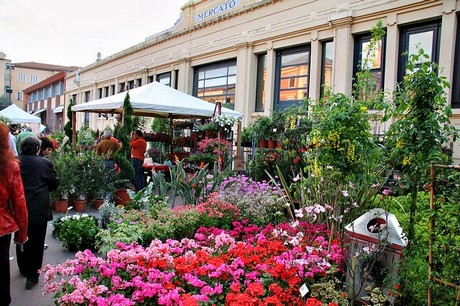 blumenmarkt