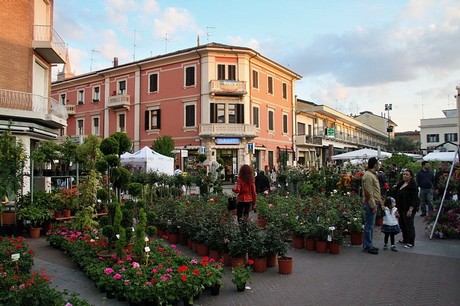 blumenmarkt