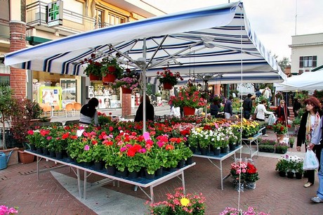 blumenmarkt