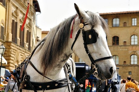 piazza-della-signoria