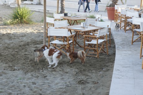 lido-di-venezia