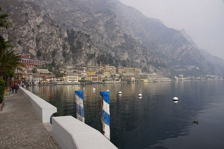 Limone