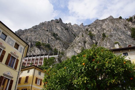 Limone