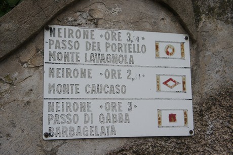 neirone