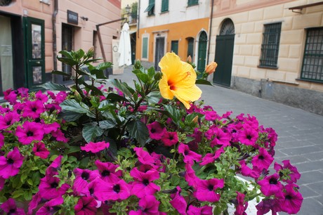 rapallo