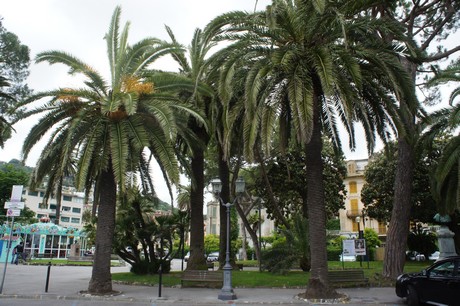 rapallo