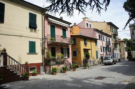 sarzana