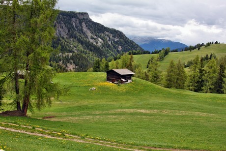 seiser-alm