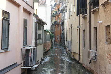 treviso