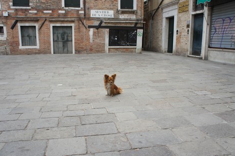 venedig