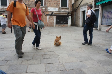 venedig