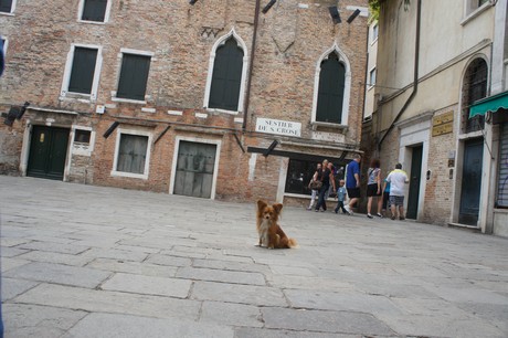 venedig